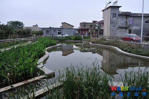 在廣西玉林市玉東新區(qū)茂林鎮(zhèn)金谷村,污水處理設(shè)施不僅改善了環(huán)境,也成了村里一道美麗風(fēng)景(4月10日攝)。 蒼蠅亂飛的臭水溝不見了,池塘的死水變活了,臟亂差的農(nóng)村變美了……廣西積極推進(jìn)農(nóng)村環(huán)境連片整治示范工作,讓越來越多的農(nóng)村舊貌換新顏。2012年,廣西共有18個(gè)縣500個(gè)村完成了示范整治任務(wù),實(shí)施污水處理設(shè)施487套、生活垃圾收集轉(zhuǎn)運(yùn)設(shè)施設(shè)備1.2226萬個(gè)(臺(tái)、套),受益人口180萬。今年,廣西計(jì)劃投資5.25億元,在19個(gè)縣(自治縣、市、區(qū))開展農(nóng)村環(huán)境連片整治示范項(xiàng)目,使全廣西農(nóng)村每年可增加生活污水處理能力1350萬噸。(新華社記者 周華 攝)