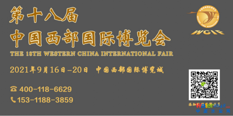 點(diǎn)擊打開原圖